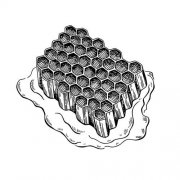 你印象中的蜂窝板是什么样子的？都有什么优点